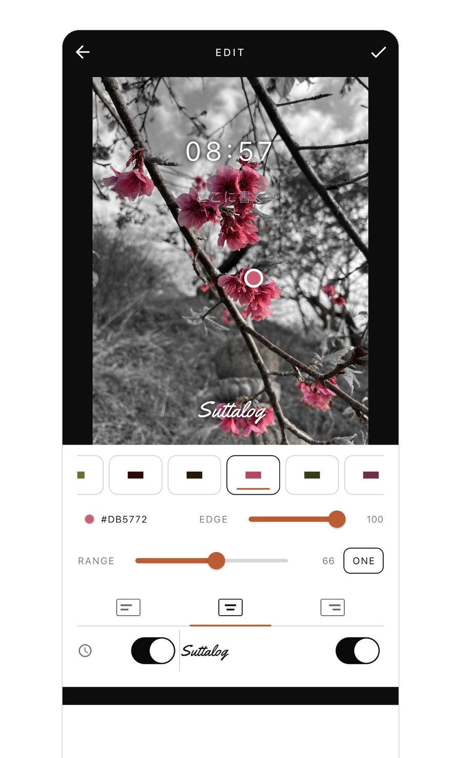 色を選ぶ編集画面。桜の写真の桃色だけが残っている